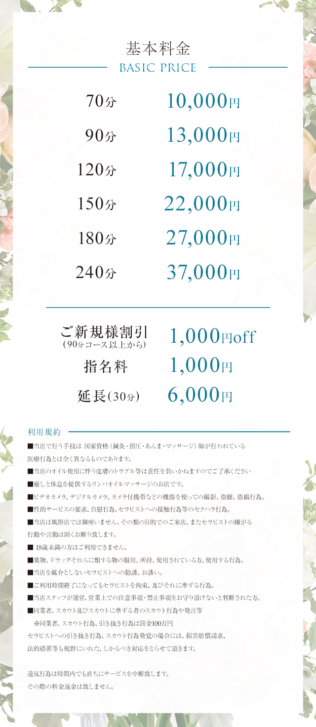 システム料金画像